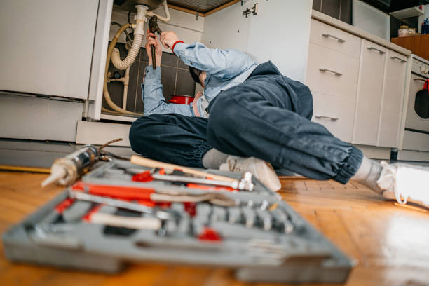 Best Plumbing Services Near Me  in Cave City, AR